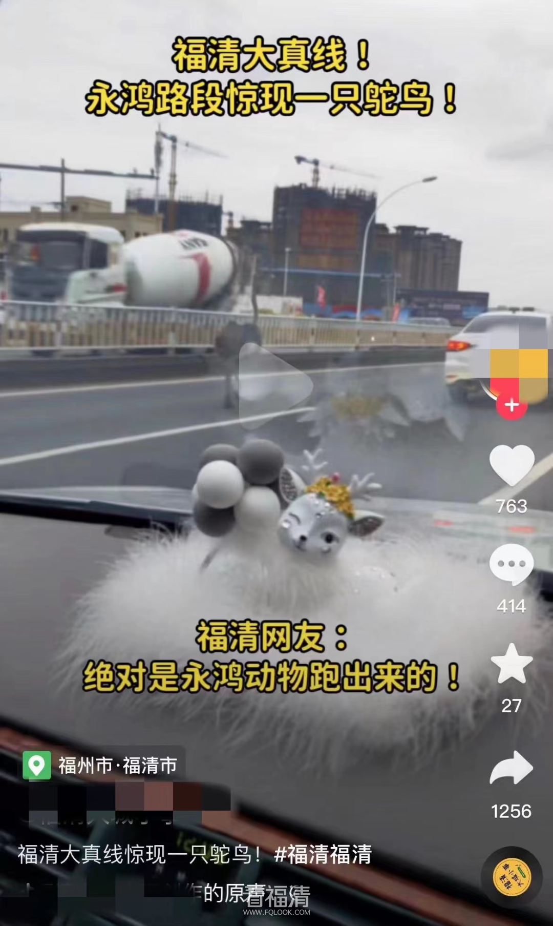 171748yy5yvjjjiei8vkra.png