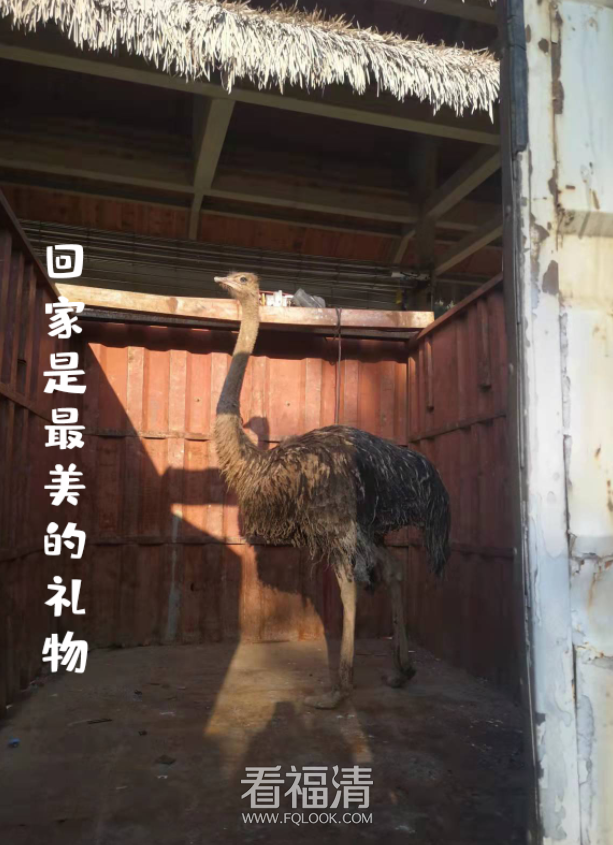 171749n3dbzhjwjwdglh0d.png