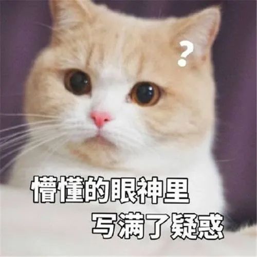 091415soraoajjhi9jlibu.jpeg