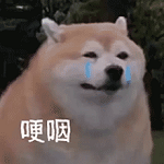 174656c72hdaz7ao6gbgth.png