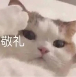 174656dcojj6242vn9921c.png