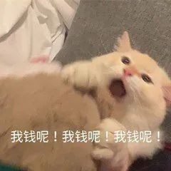 163136swpq6mkcy6mzhjbd.jpeg
