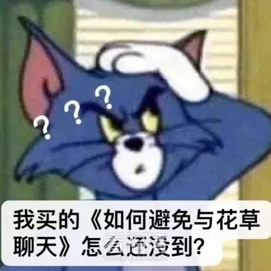 084230ipauig7ouaui0p7r.jpeg