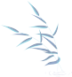 083919fb5aitghgh5dtiwz.png