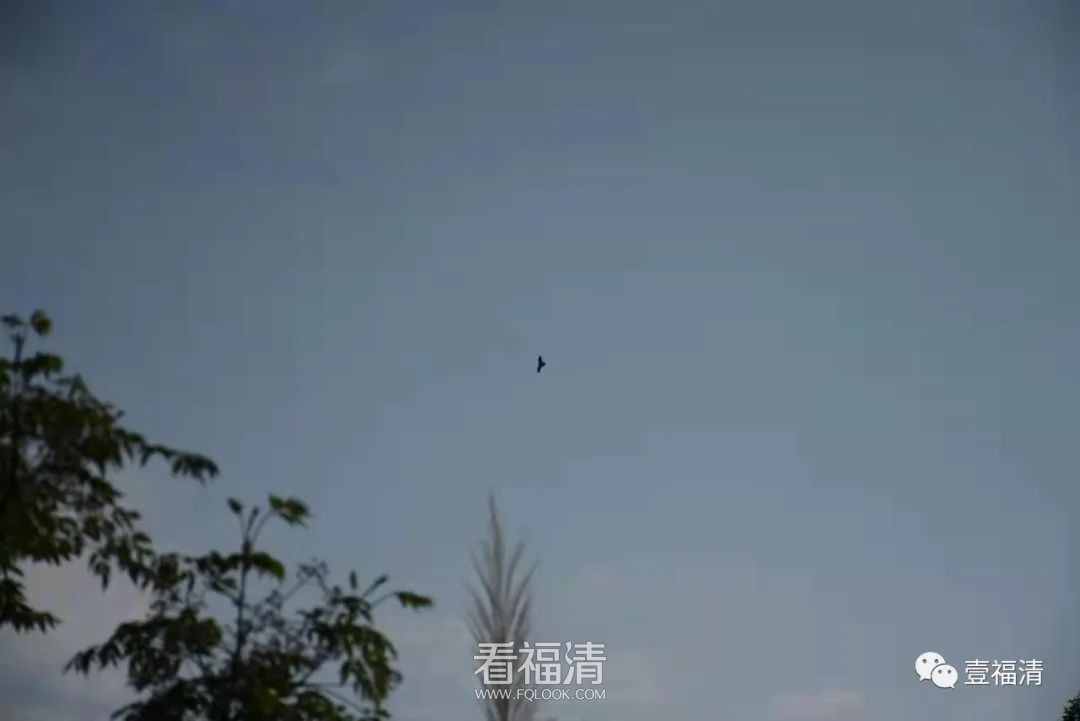 083919so9r13j1o8utoo2t.jpeg