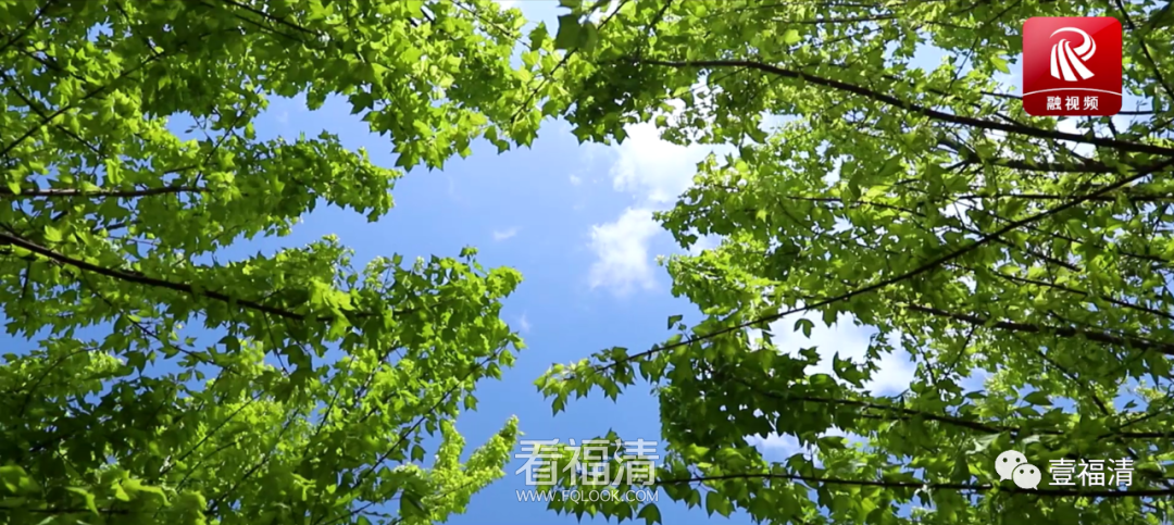 164340t6ht080kul6ku8uz.png