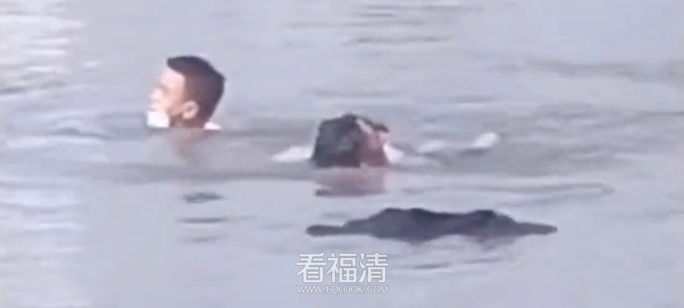 090543mzoowaahabt5hjh5.png
