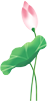 170824vngxyyyq8hxlgkql.png 170824vngxyyyq8hxlgkql.png