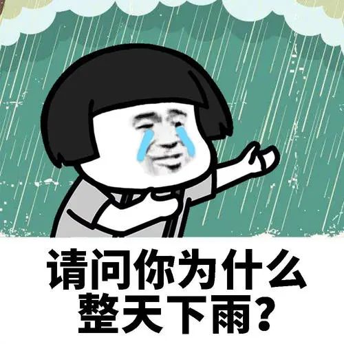 085054w2x7veg2fle2y4ei.jpeg