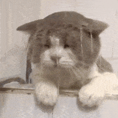 173506lp1i99imf1pui333.gif