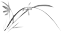 162042zqmmibamjzjzxmhb.png