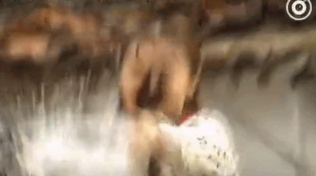 085145uodpbthhlxoowhm2.gif