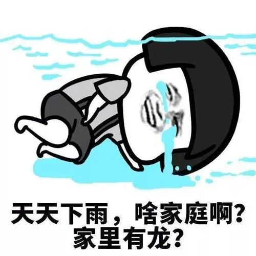 175020y5q5q2m60xlskslh.jpeg