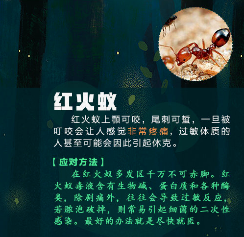 103853h5vxb2k8hzl9nvfn.png