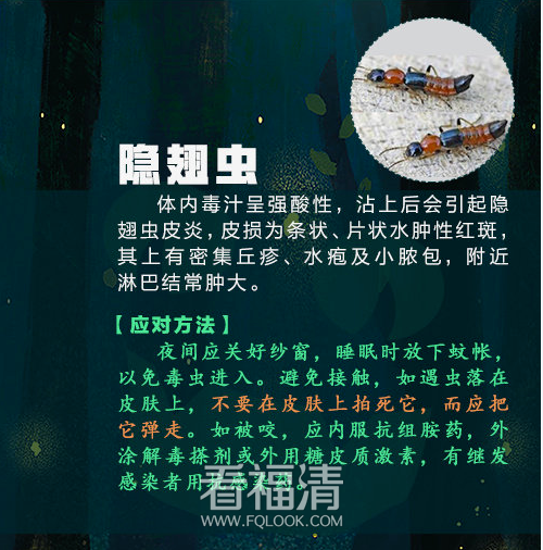 103853izdrr0sells05sqk.png