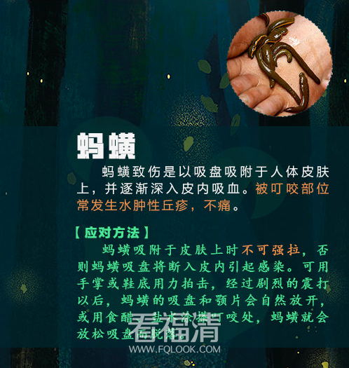 103853w9ucmcykyfpdgc9c.png