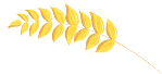 112220cas27qcpsol3u8s3.png