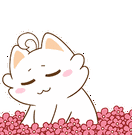 090449ullq57mrdrld84qw.gif
