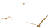 085843tkfqouuoddtdo89o.png