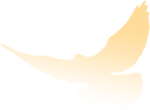 112401nhjjbyae2ykbeep7.png