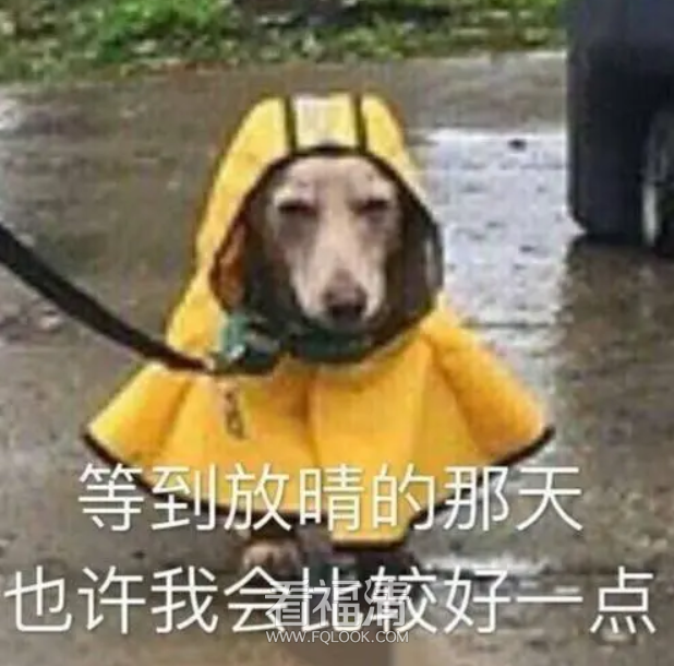 172243riuehlhhrhnvlzvv.png