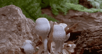 154802b7dz47dg6c0abdz4.gif