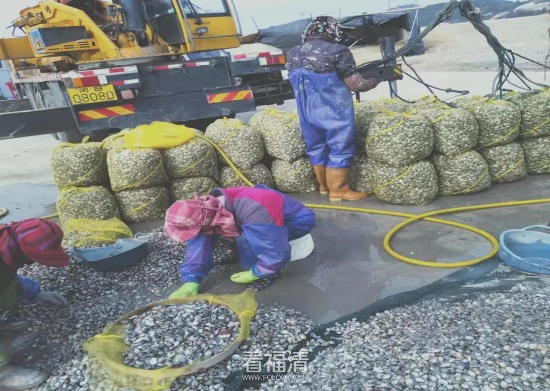 090555eokjkqb5mcfzk6bu.jpeg