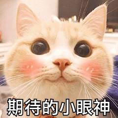084944x5comlnnz5h1hl4f.png