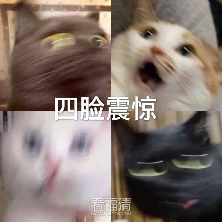 173726lbryj2q2jsdr2dfv.jpeg