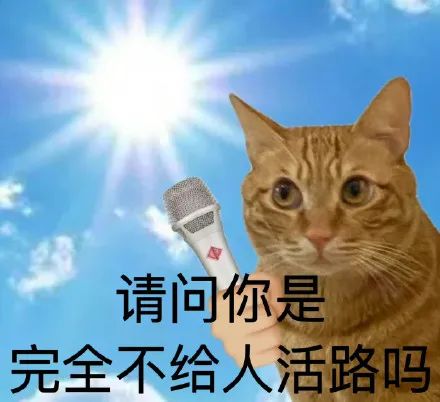 173639b1zg0cvjcp1uf1px.jpeg