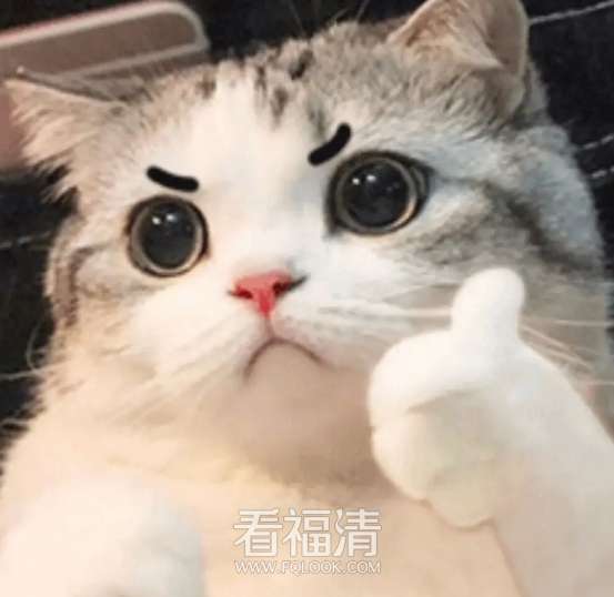 090553gwf5xywf5uqtnq6g.png