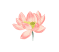 091101yecxynbi2xbnkcnu.gif