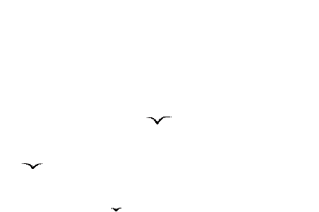 173912uz2wnxy8emmq2nmh.gif