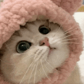 085606v3knpox8dzbkdyao.gif