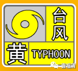 143626i1pbwe1pzjtw7p1i.png