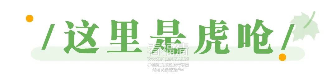 084612vaiq3r5yjdfxqqam.jpeg
