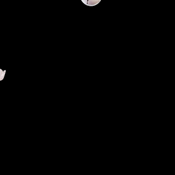 102628waf4flawu0plb4zb.gif