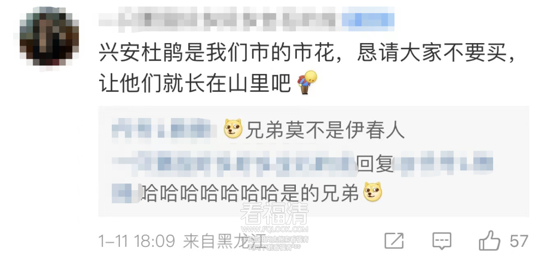 160446igpgds2u7snqeygq.png