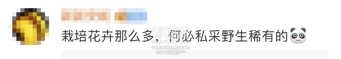 160446m7afyw4dsiiao1zs.png