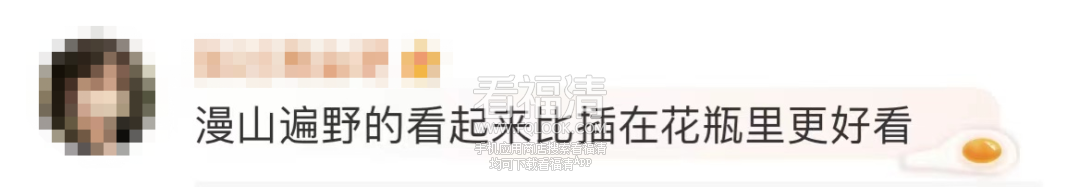 160446y5q1gz76bed5qqbb.png