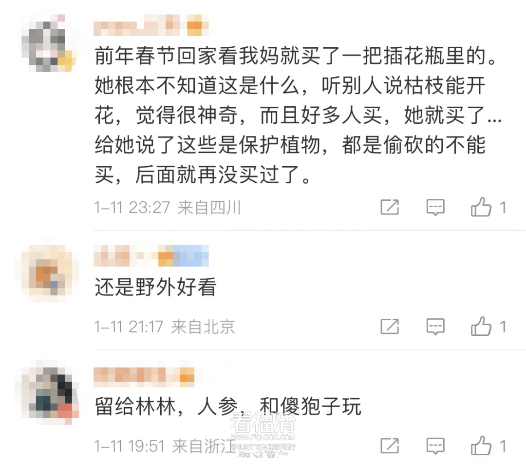 160447pqjsqwss345fc09y.png