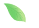 113711tiajz7ph50hpp0hj.gif