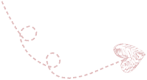 085812wnzt5k3b8pk1segp.png