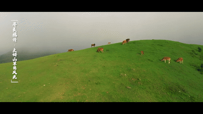 103010p09za7rrhoqlu07r.gif