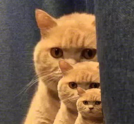 132137ut1rbkvsokspjr59.jpeg