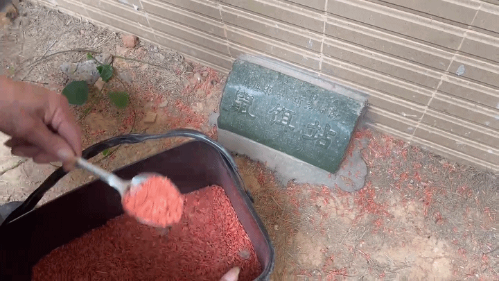 174928ex7ozjb2cpto7ozg.gif