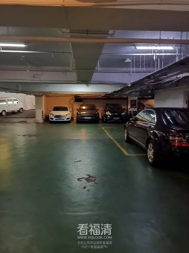 151643g13fyyr9y9fr55d7.jpeg
