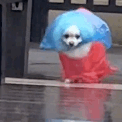 160726slrwcwv333lnvloq.gif