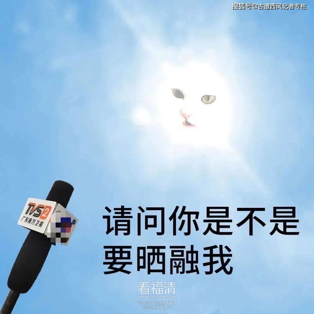 162748yuqa4pdzq8tg2vtv.jpeg