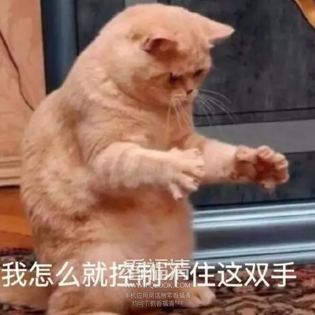 085706iezzvfz5vjaze803.png